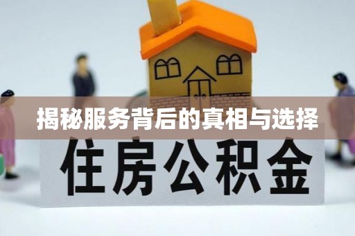 莿桐揭秘服务背后的真相与选择