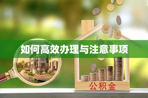 莿桐如何高效办理与注意事项