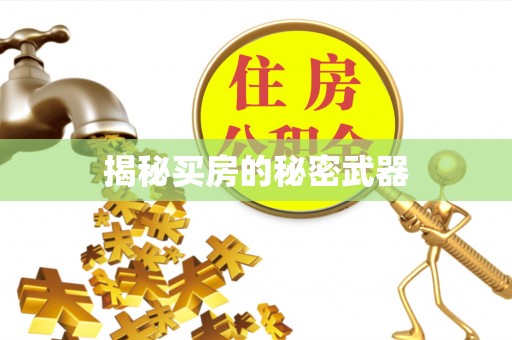莿桐揭秘买房的秘密武器