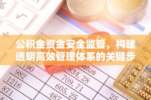莿桐公积金资金安全监管，构建透明高效管理体系的关键步骤