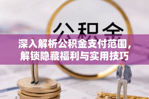 莿桐深入解析公积金支付范围，解锁隐藏福利与实用技巧