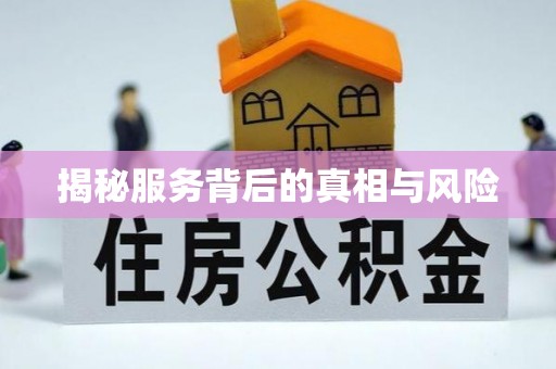 莿桐揭秘服务背后的真相与风险