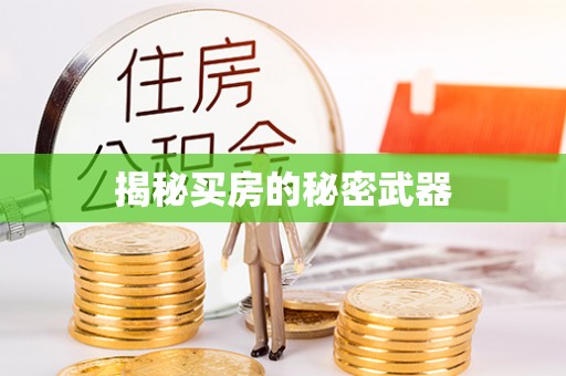 莿桐揭秘买房的秘密武器