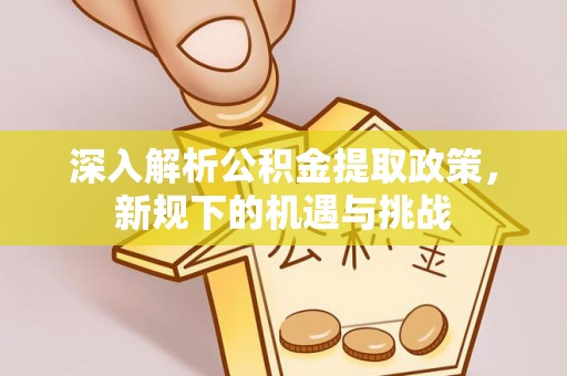 莿桐深入解析公积金提取政策，新规下的机遇与挑战