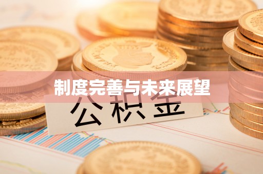 莿桐制度完善与未来展望