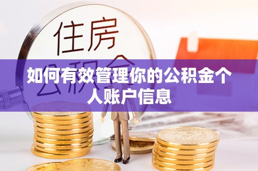 莿桐如何有效管理你的公积金个人账户信息