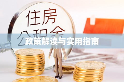 莿桐政策解读与实用指南