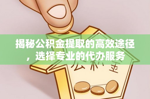 莿桐揭秘公积金提取的高效途径，选择专业的代办服务