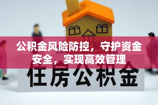 莿桐公积金风险防控，守护资金安全，实现高效管理