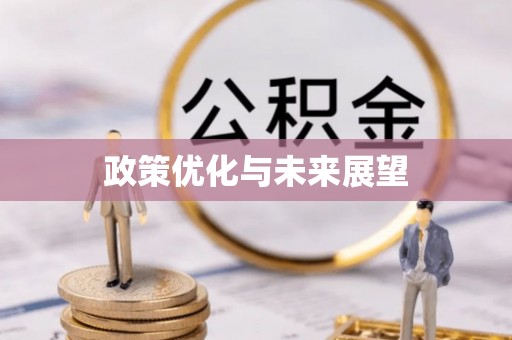 莿桐政策优化与未来展望