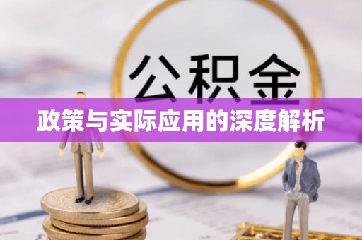 莿桐政策与实际应用的深度解析