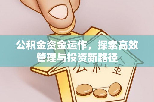 莿桐公积金资金运作，探索高效管理与投资新路径