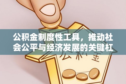 莿桐公积金制度性工具，推动社会公平与经济发展的关键杠杆
