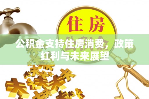 莿桐公积金支持住房消费，政策红利与未来展望