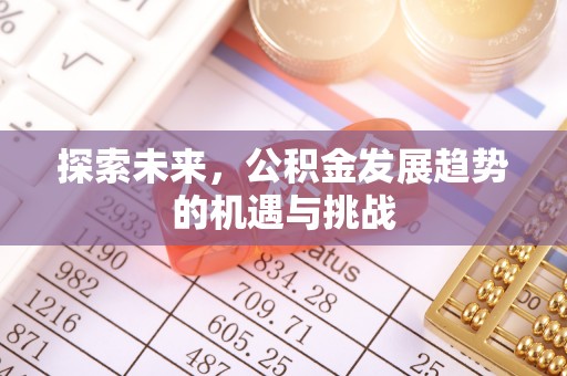 莿桐探索未来，公积金发展趋势的机遇与挑战