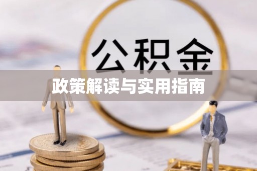 莿桐政策解读与实用指南