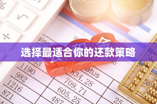 莿桐选择最适合你的还款策略